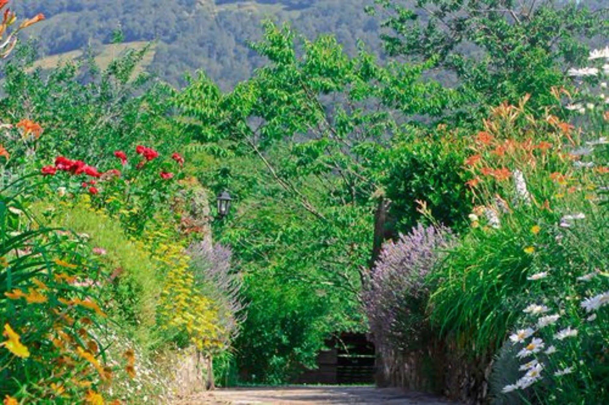 Hotel Maison Chilo Barcus Exterior foto